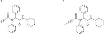 Biologically Active α-Amino Amide Analogs and γδ T Cells—A Unique Anticancer Approach for Leukemia